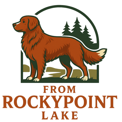 Nova Scotia Duck Tolling Retrievers | From RockyPoint Lake